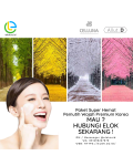 Paket Super Hemat Pemutih Wajah Premium Korea ULTIMATE WHITENING